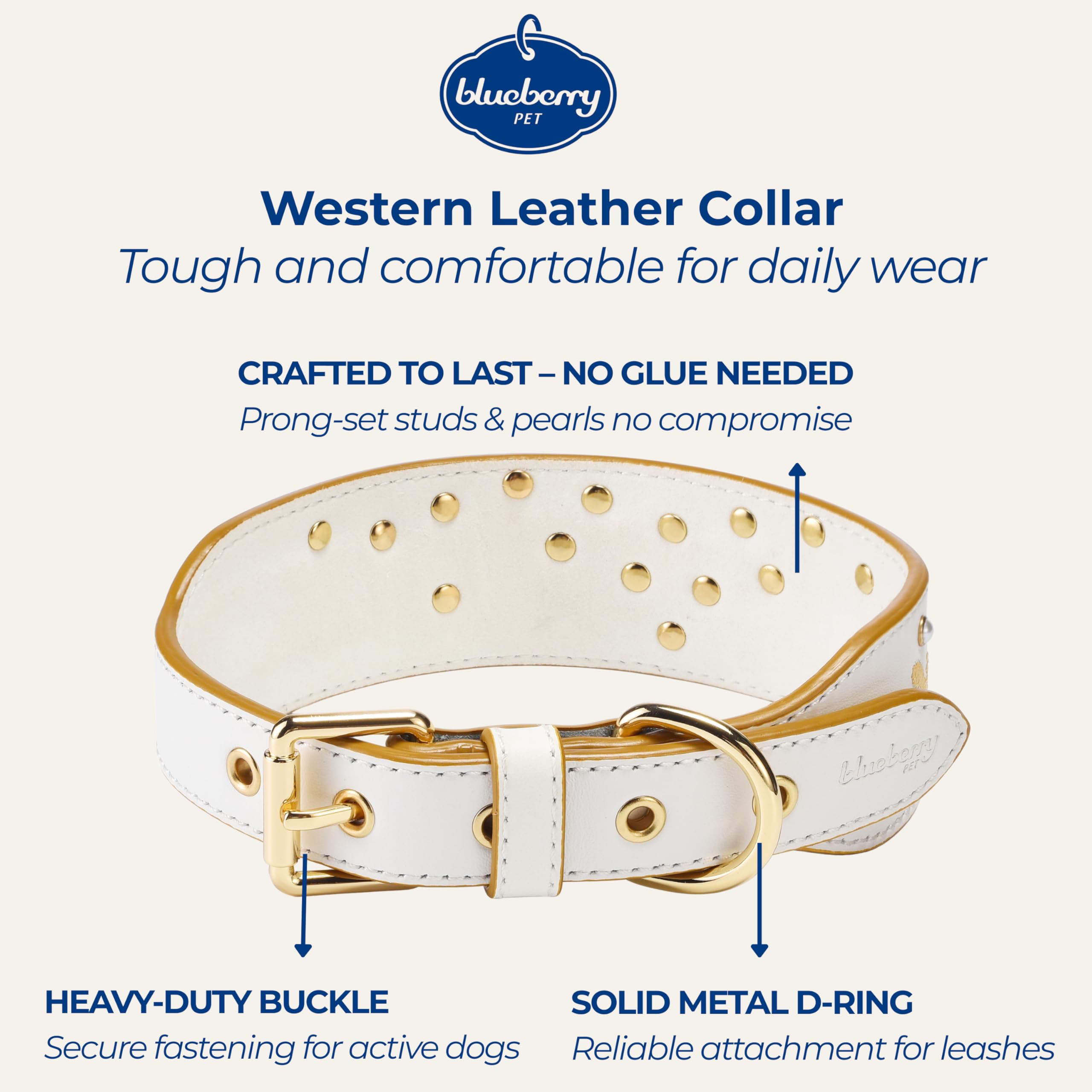 Blueberry Pet collar ajuste 15-18 pulgadas, cómodo para perros medianos en actividad