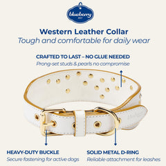 Blueberry Pet collar ajuste 15-18 pulgadas, cómodo para perros medianos en actividad