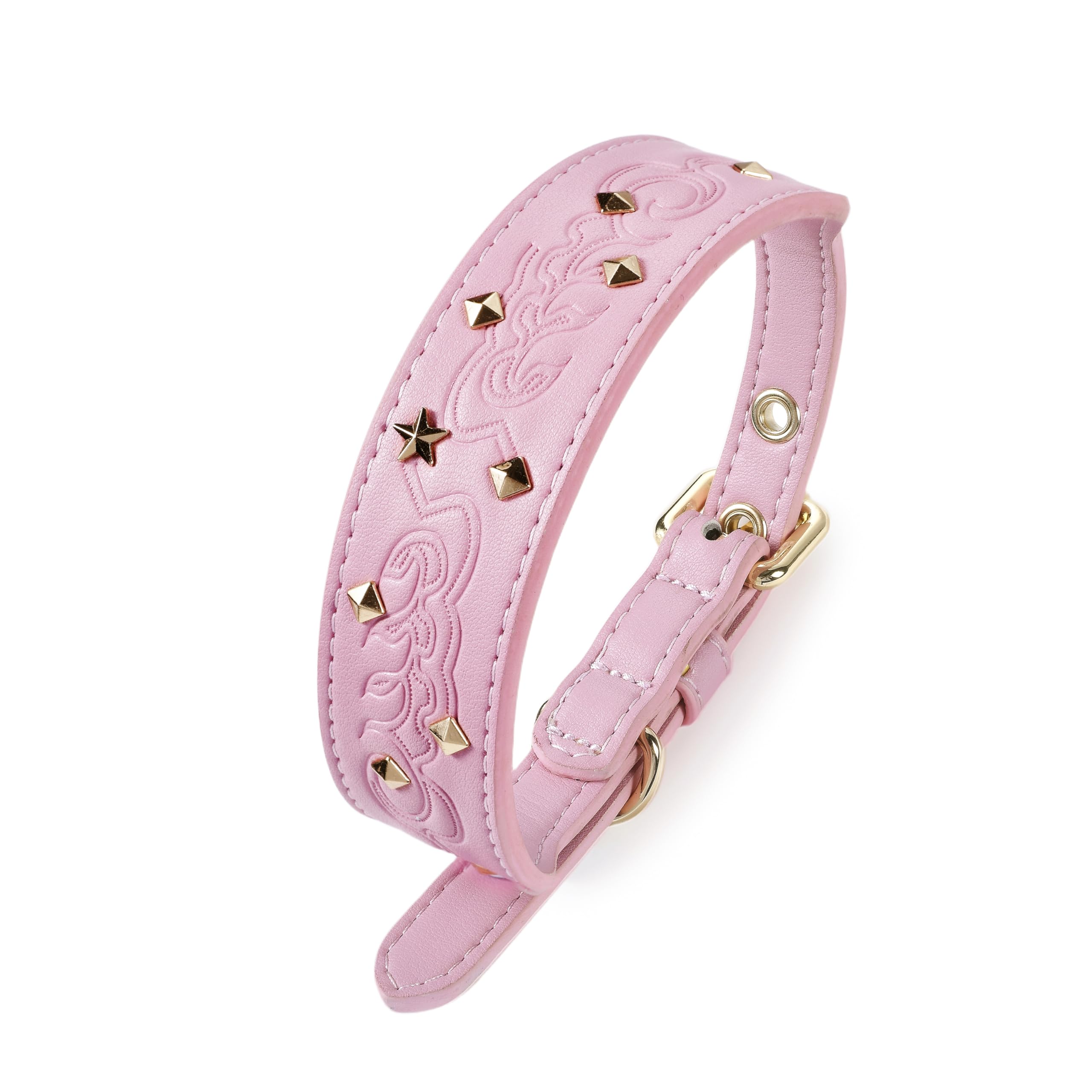 Blueberry Pet: ajuste seguro y cómodo para paseos.