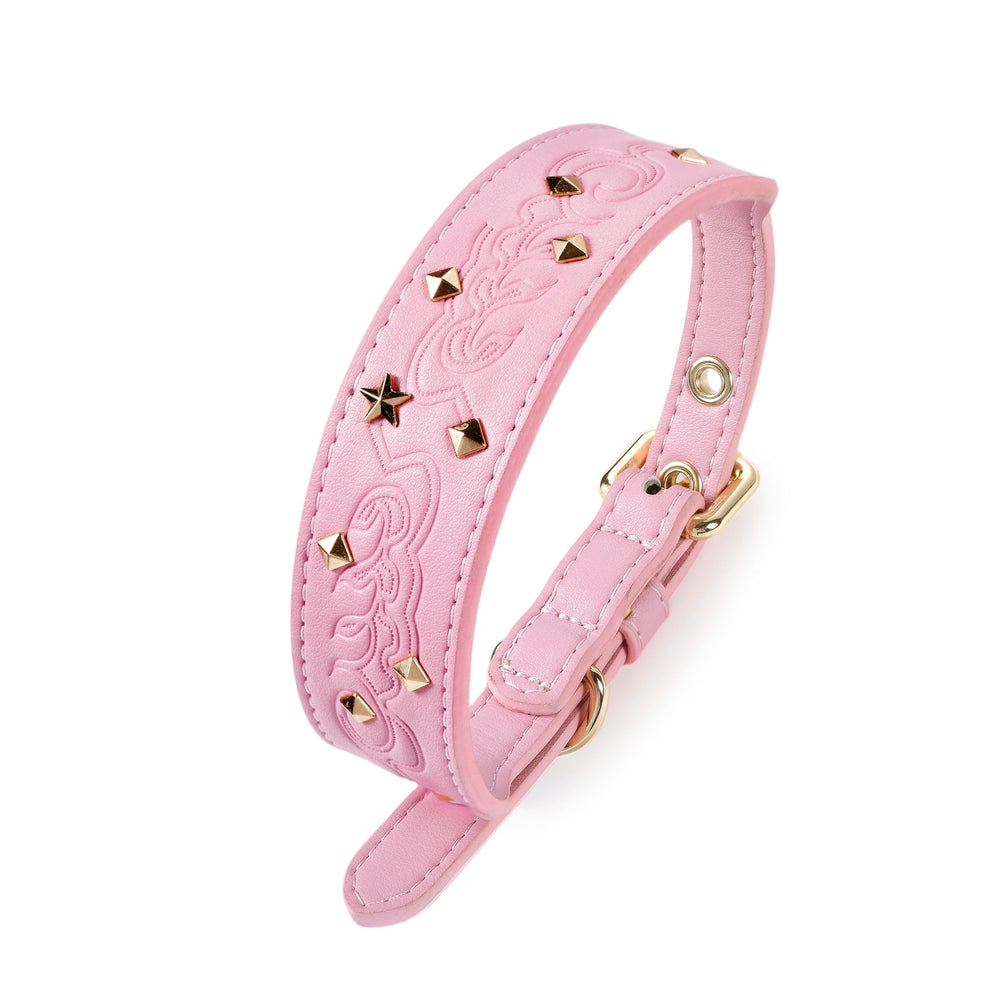 Blueberry Pet: ajuste seguro y cómodo para paseos.