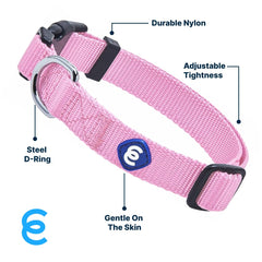 Blueberry Pet Essentials collar, aro cromado seguro para paseos.