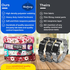 Blueberry Pet collar con acolchado de neopreno para mayor comodidad.