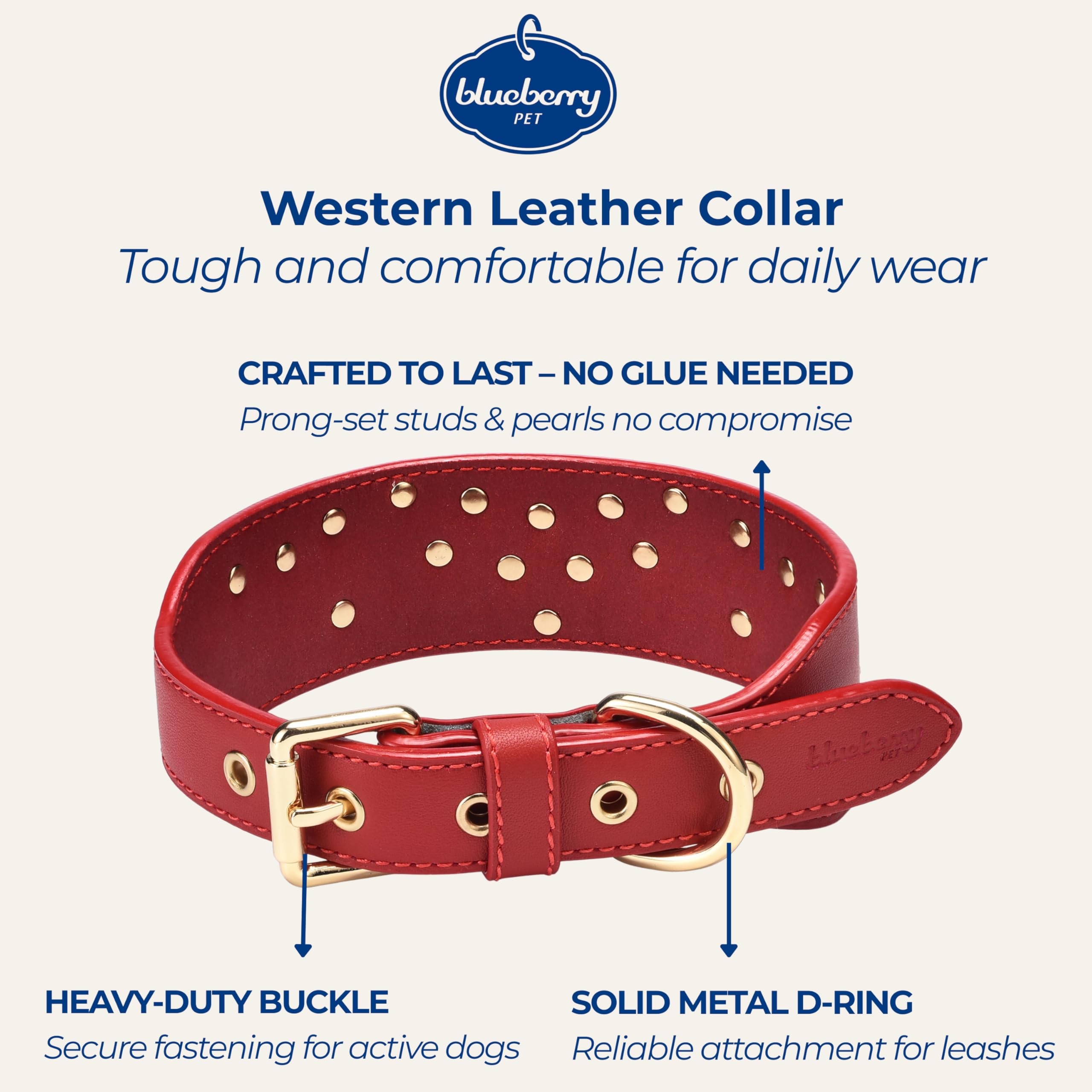 Blueberry Pet collar con tachuelas perladas para estilo duradero