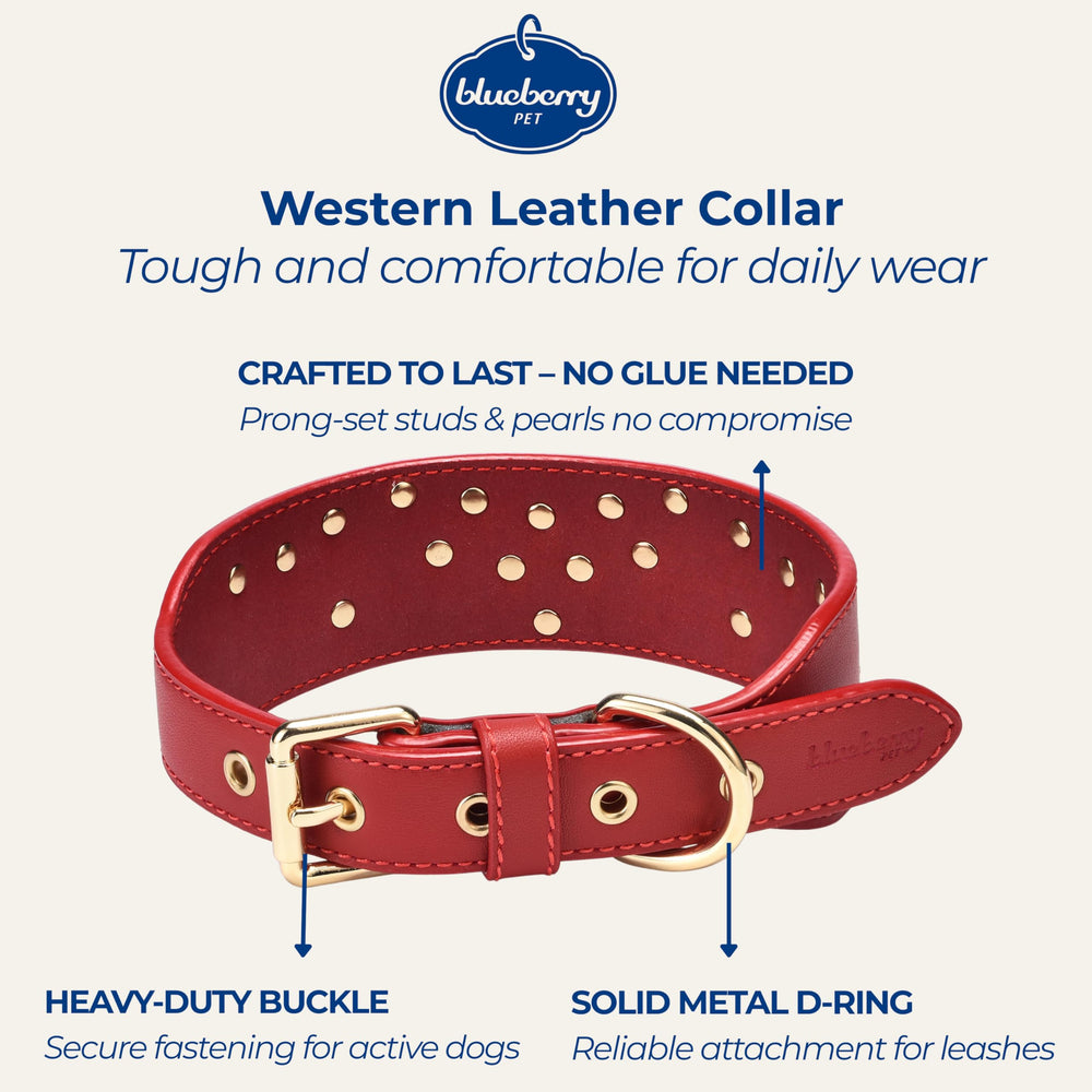 Blueberry Pet collar con tachuelas perladas para estilo duradero
