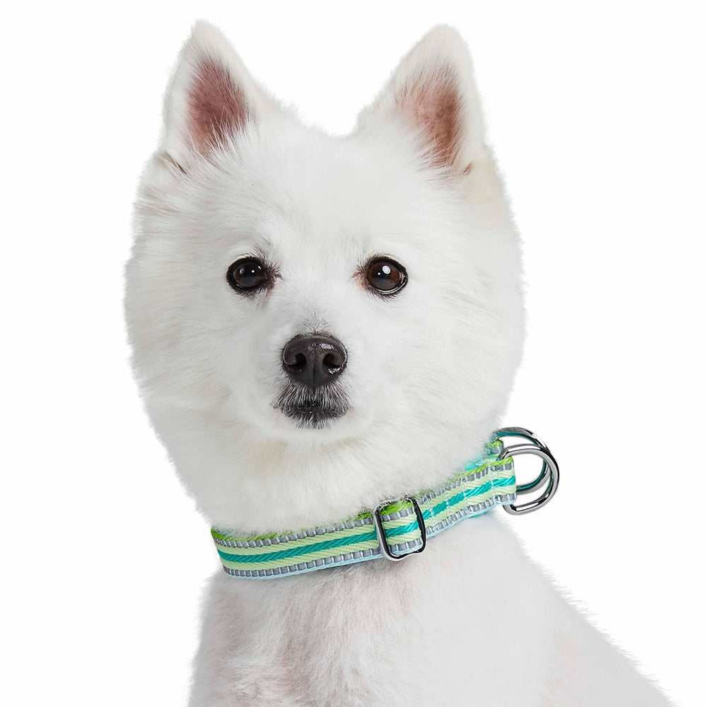 Collar Blueberry Pet diseño multicolor menta y verde para estilo seguro.