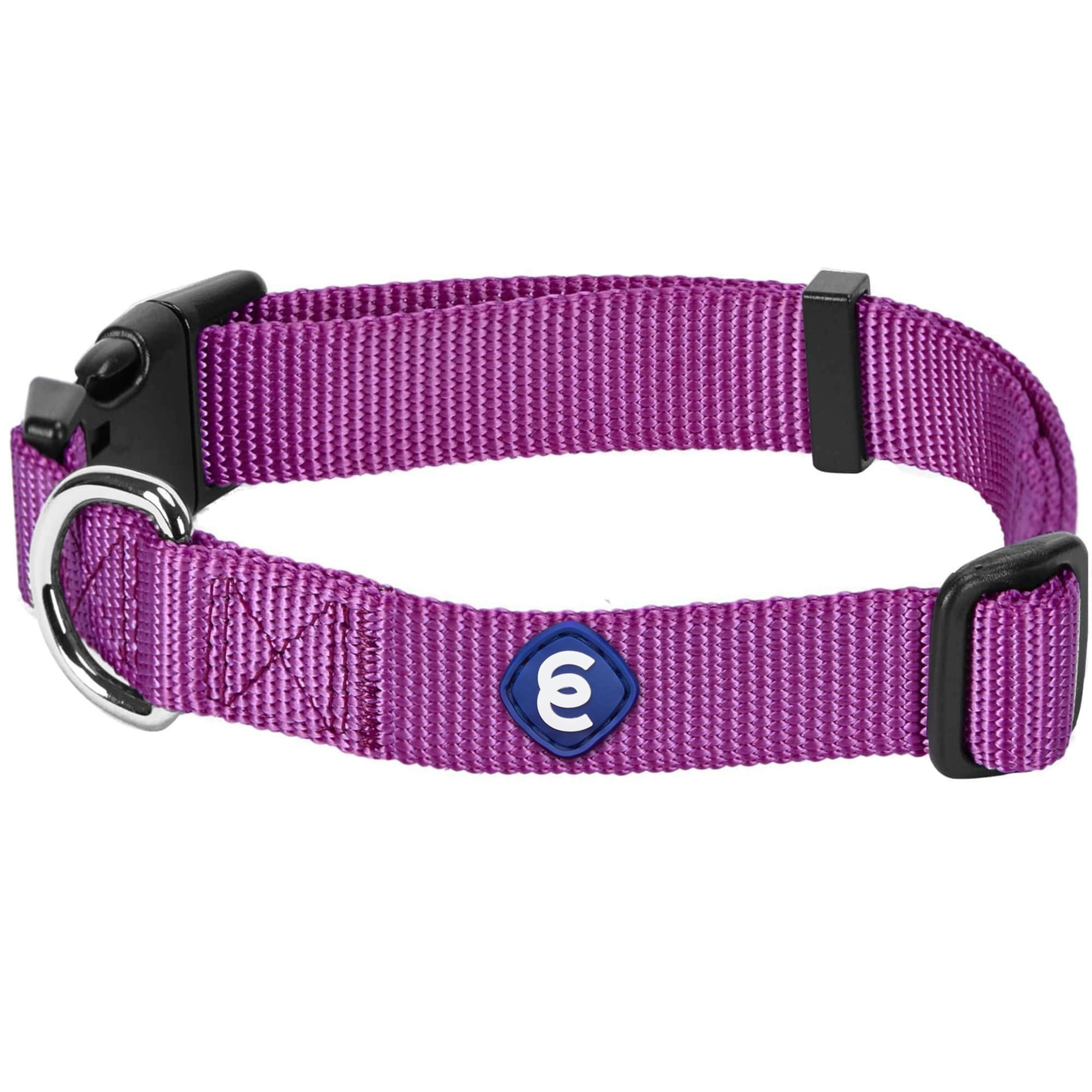 Collar Blueberry Pet grande con ajuste 18–26 pulgadas en violeta para paseos.