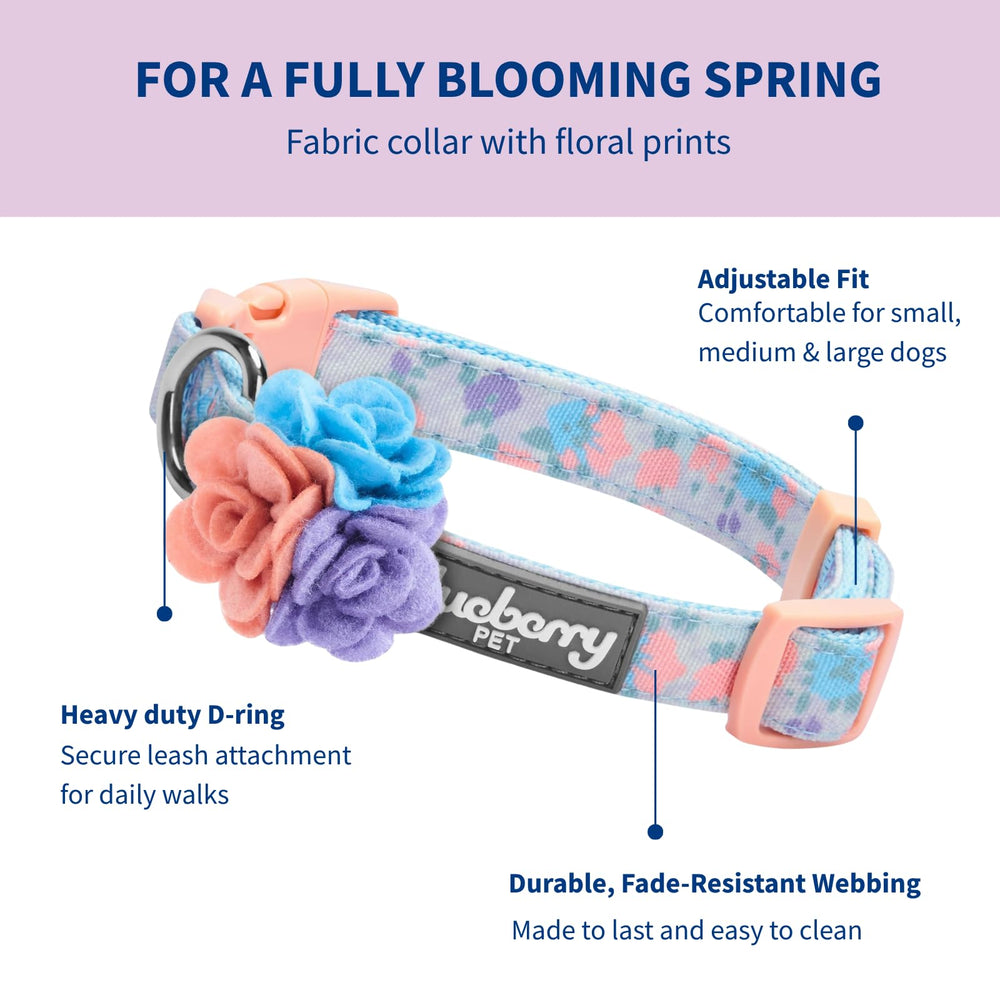 Ajuste regulable Blueberry Pet: cuello de 18 a 26 pulgadas.