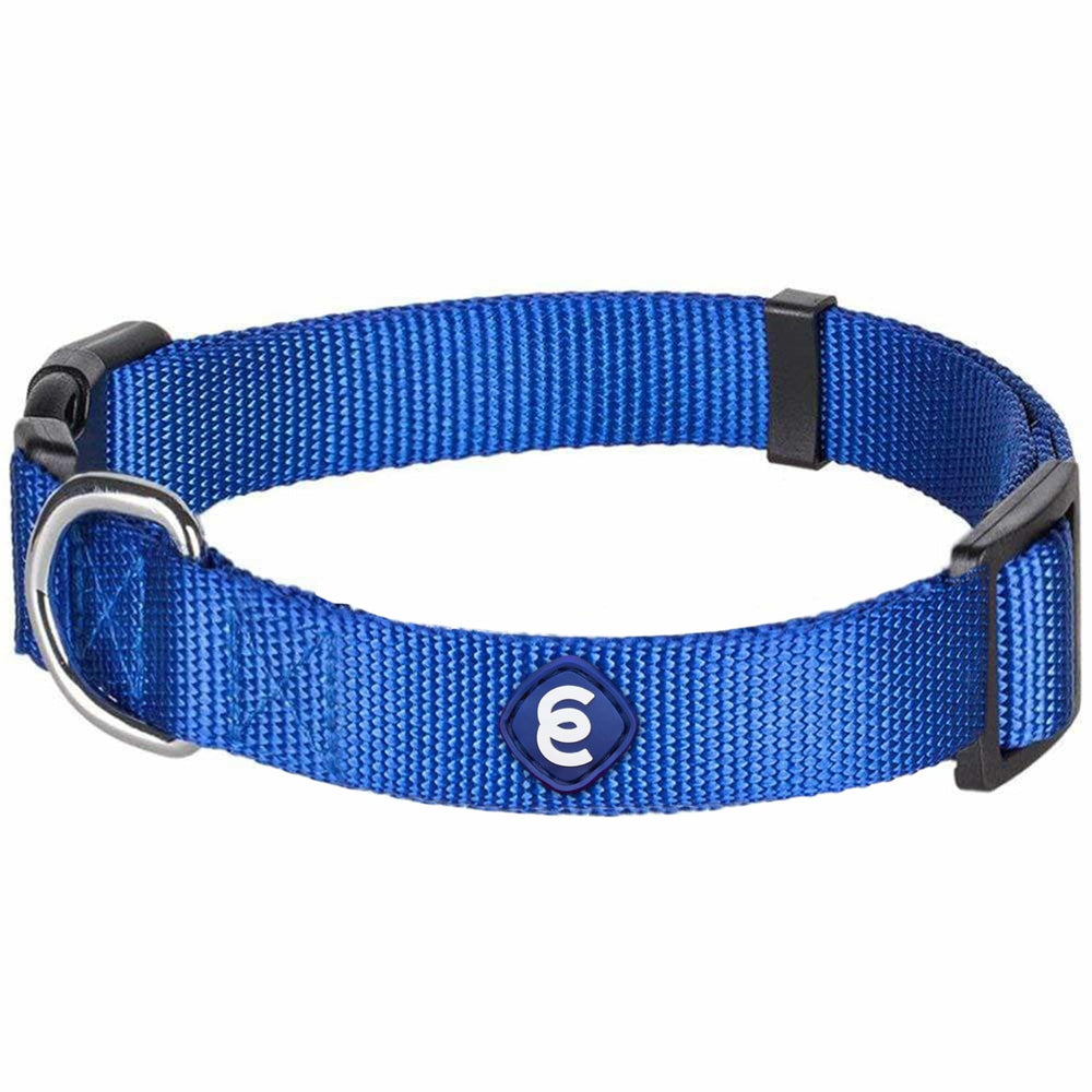 Blueberry Pet Essentials collar grande azul royal para paseos diarios.