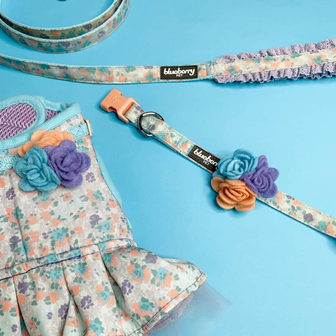 Estilo floral lavanda para perros grandes en situaciones diarias y especiales.