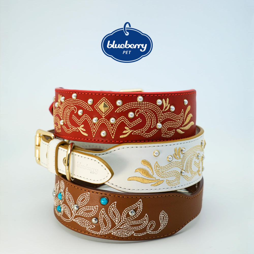 Blueberry Pet collar hebilla resistente, cierre seguro para paseos sin incidentes