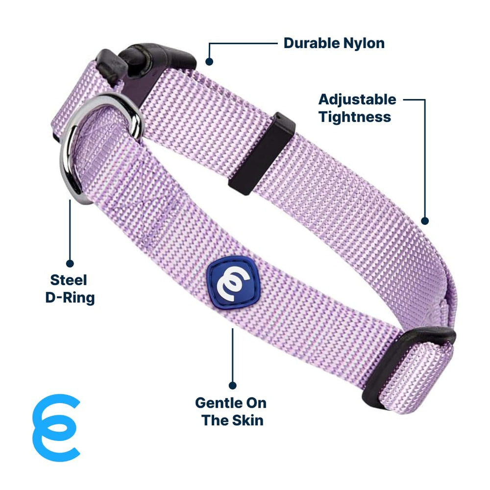 Hebillas ecológicas en collar Blueberry Pet, opción sostenible para mascotas