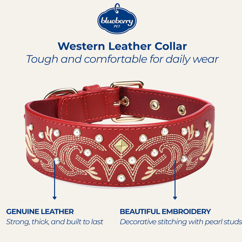 Blueberry Pet collar con herrajes dorados para un toque elegante
