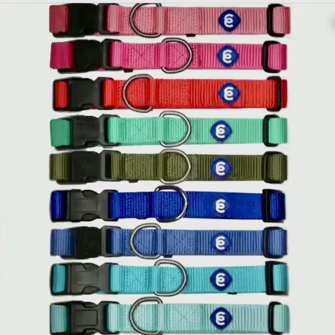 Collar Blueberry Pet aprobado por Newsweek, confianza en cada paseo