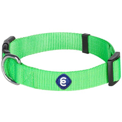 Blueberry Pet collar neon verde con ajuste duradero para perros grandes