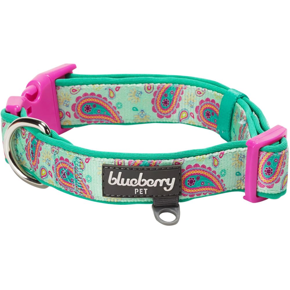 Blueberry Pet collar neopreno acolchado verde esmeralda para paseos cómodos.