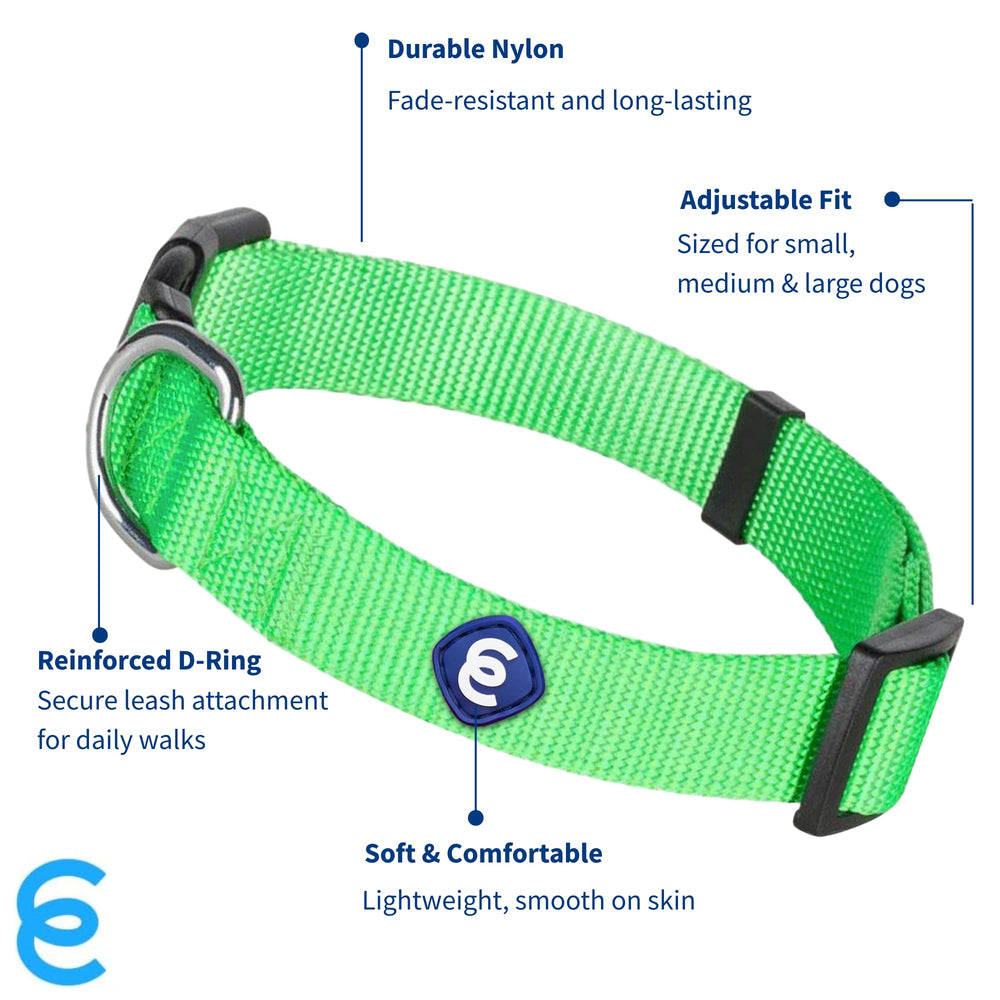Blueberry Pet collar nylon de alta densidad para uso diario