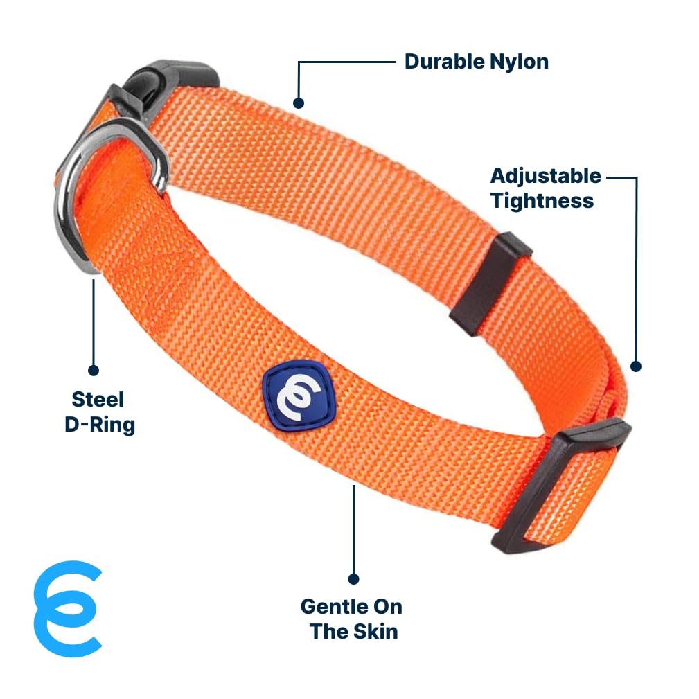 Nylon denso Blueberry Pet collar de alta calidad para uso diario