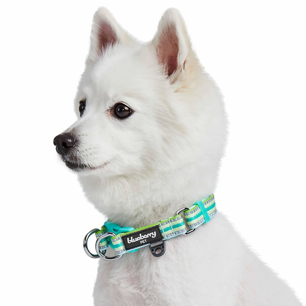 Collar Blueberry Pet nylon suave y duradero para uso diario.