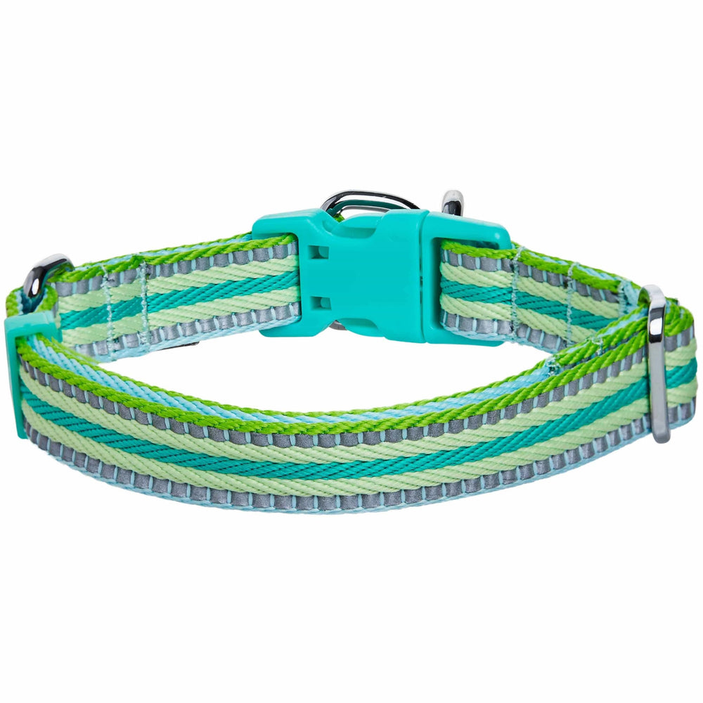 Collar Blueberry Pet reflectivo 3M para paseos en poca luz.
