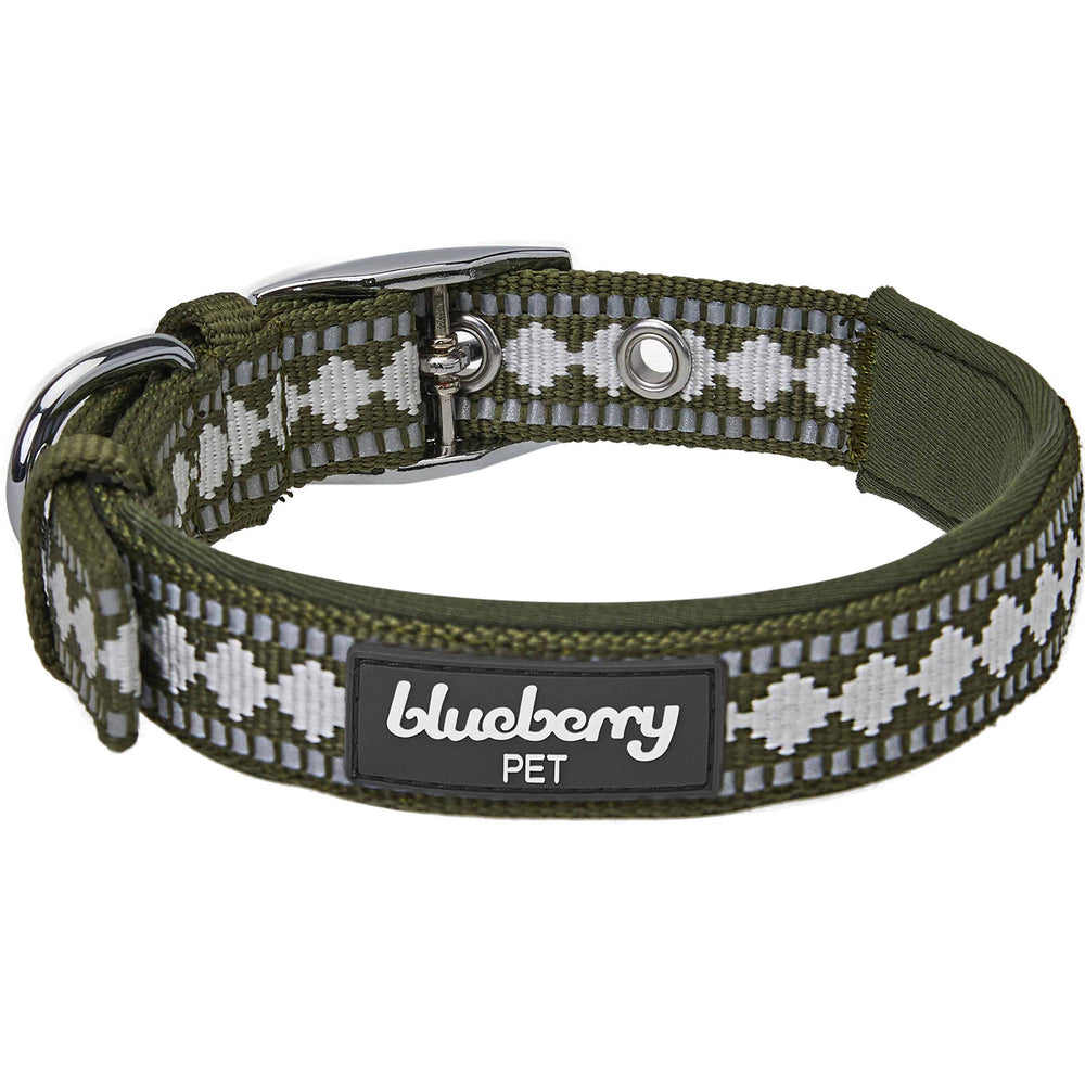 Blueberry Pet collar para paseos nocturnos con mejor visibilidad