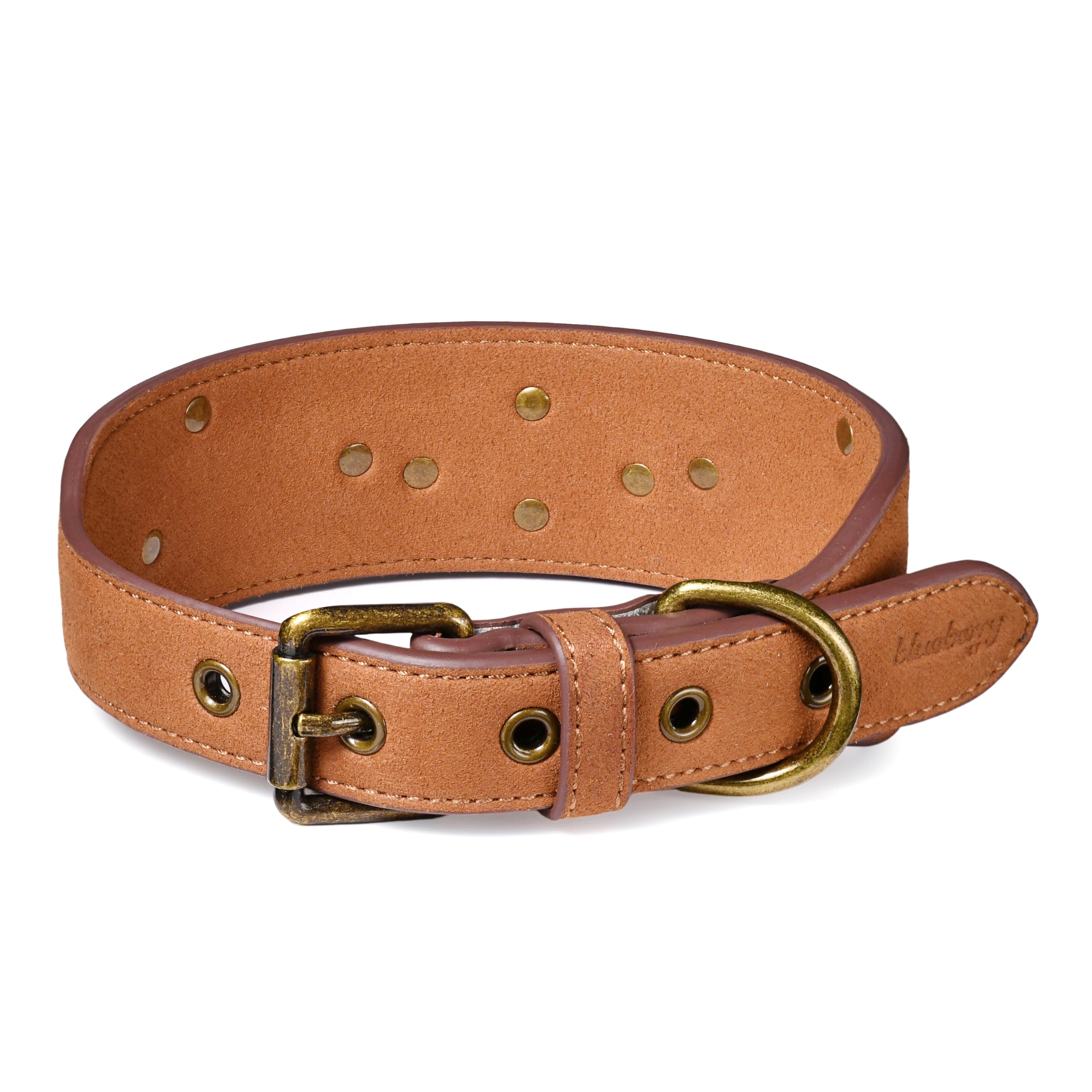 Collar Blueberry Pet con bordes reforzados y ajuste cómodo para uso diario.