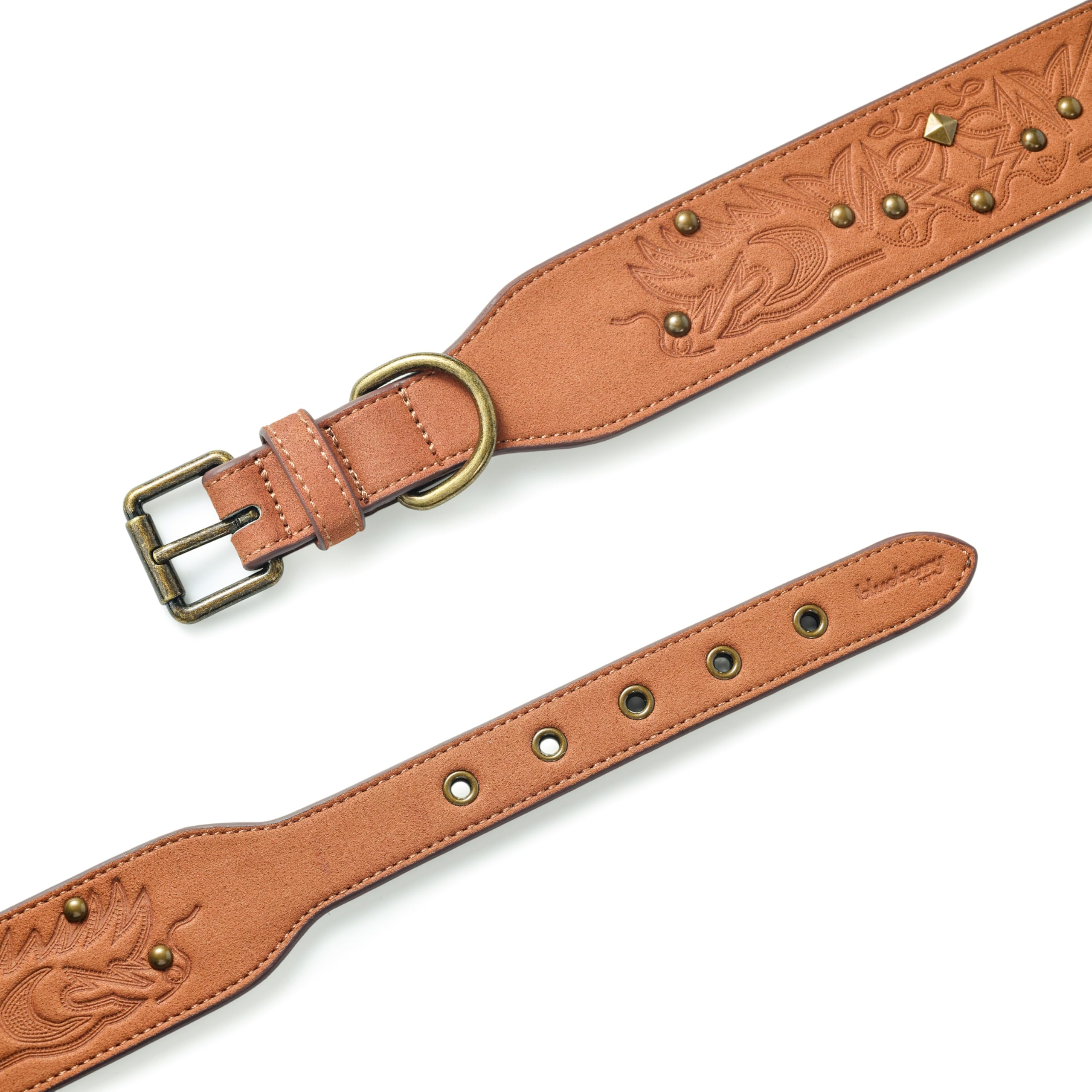 Diseño ancho del collar Blueberry Pet, estilo premium para perros activos.