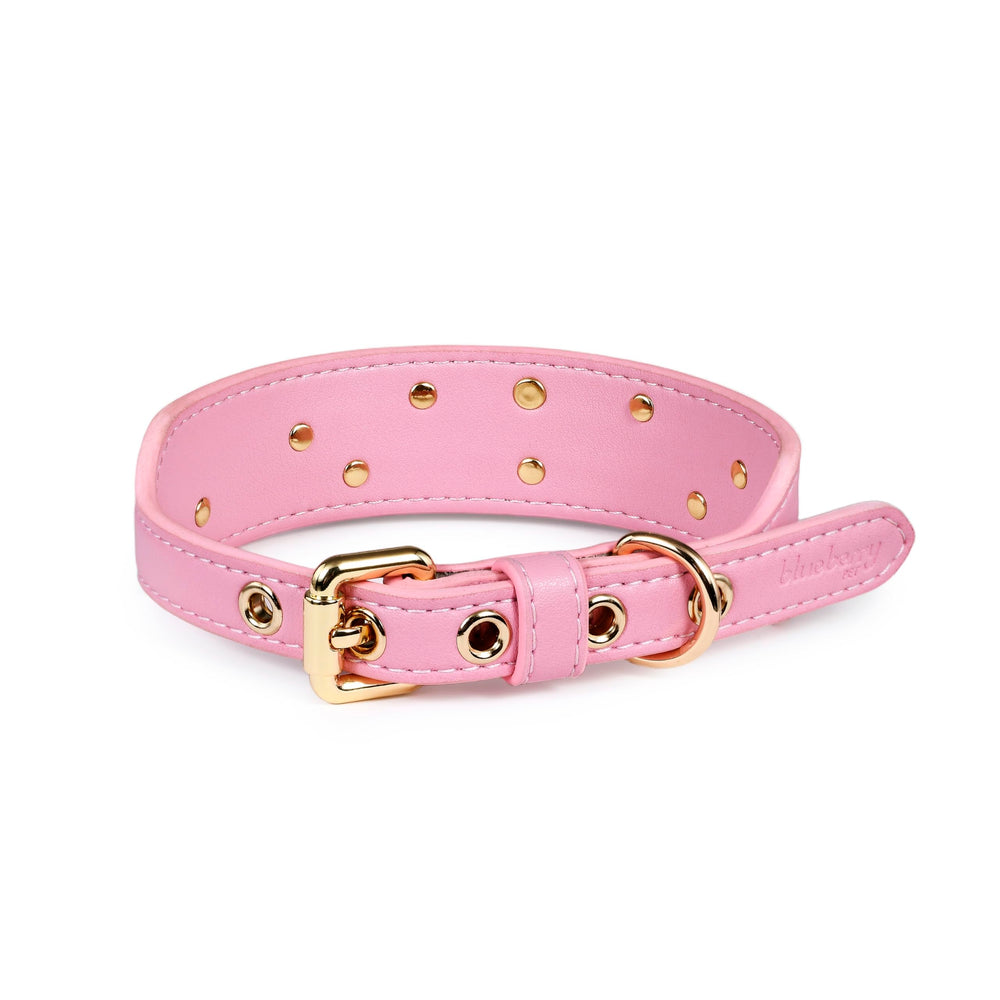 Blueberry Pet collar rosa glam en perro, ideal para salidas diarias.