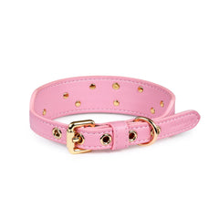 Blueberry Pet collar rosa glam en perro, ideal para salidas diarias.