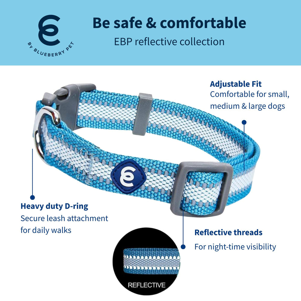 Collar reflectante azul Blueberry Pet para mejor visibilidad en paseos nocturnos.