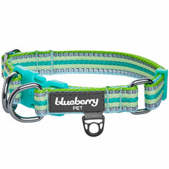 Collar Blueberry Pet con anillas en D dobles y reflectivo para mayor visibilidad.