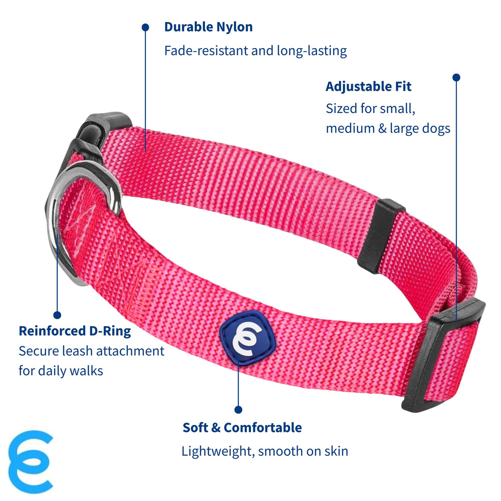 Collar Blueberry Pet rosa caliente para perras, ideal para estilos vibrantes.