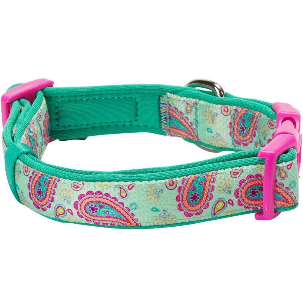 Blueberry Pet collar para uso diario y paseos al aire libre.