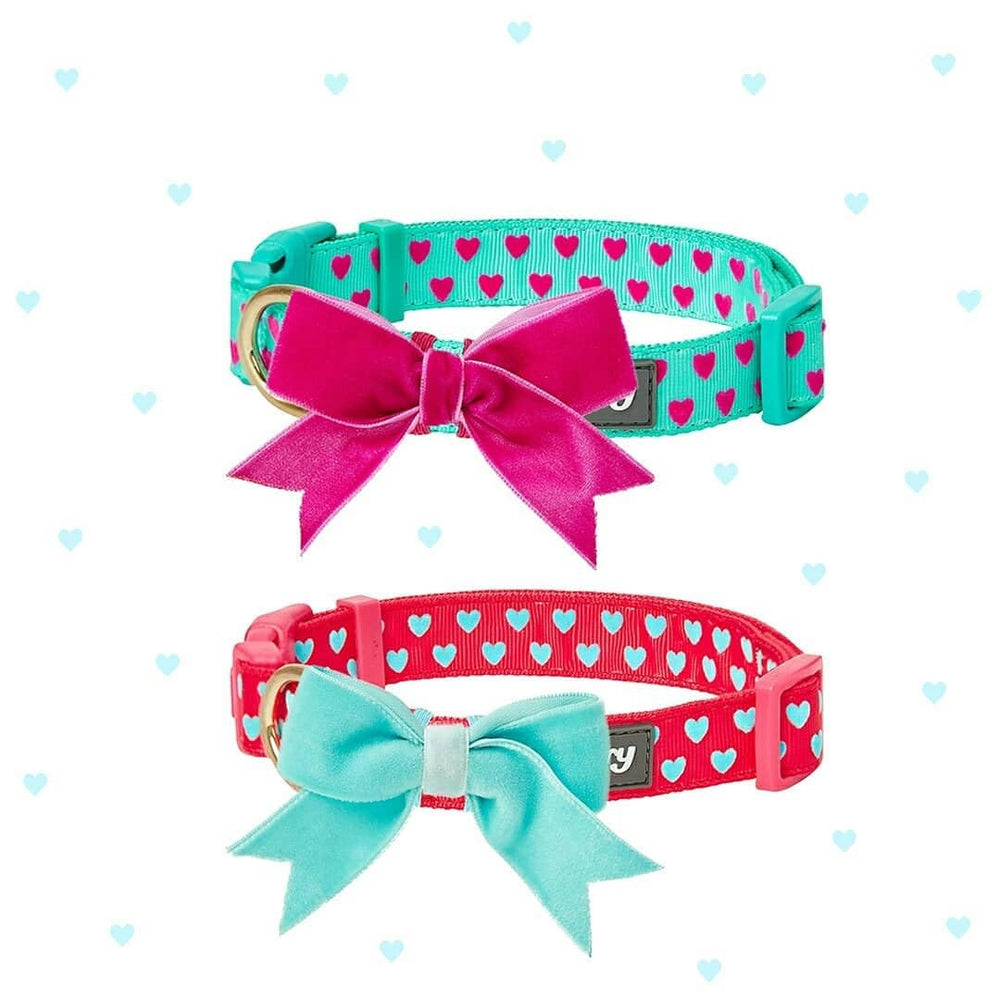 Conjunto Blueberry Pet collar, correa y arnés para perros grandes