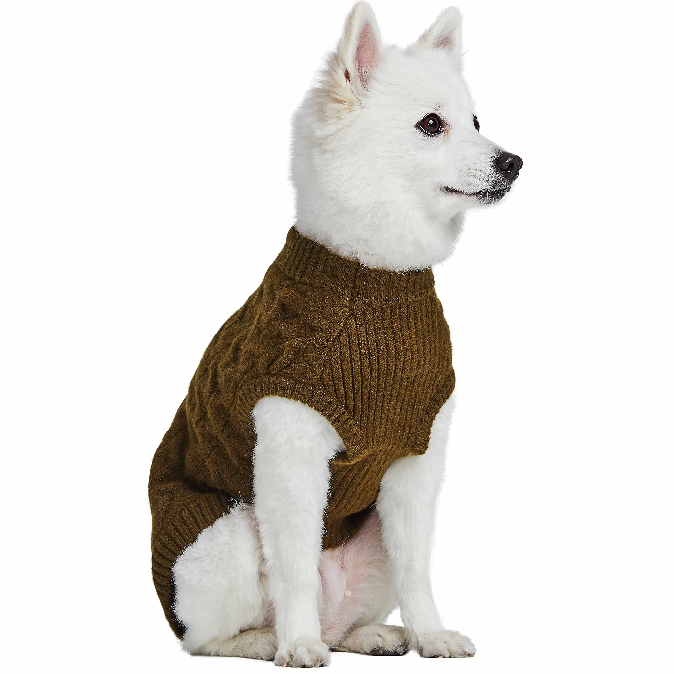 Blueberry Pet cuello redondo diseño clásico para confort