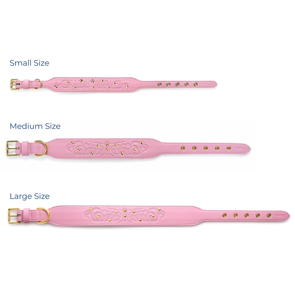 Blueberry Pet collar: cuidado simple para mantener color y textura.