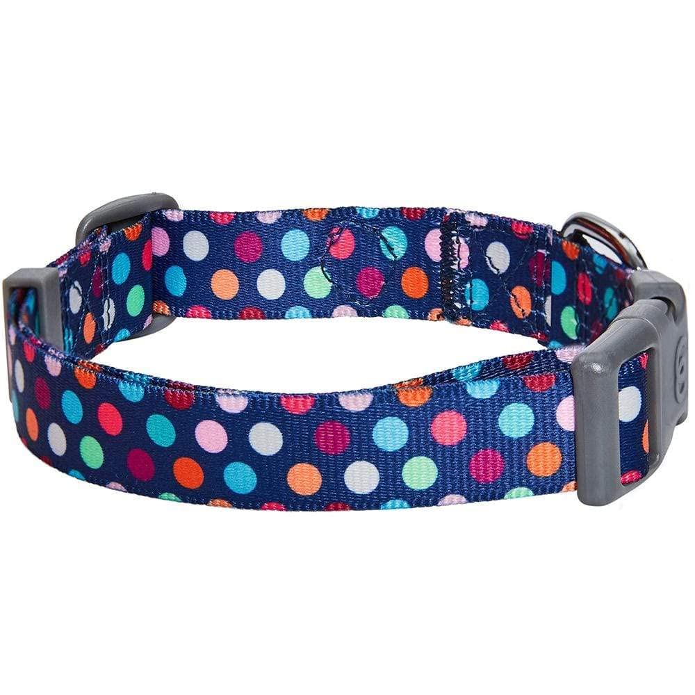 Blueberry Pet diseño de puntos, ideal para paseos en parques y calles