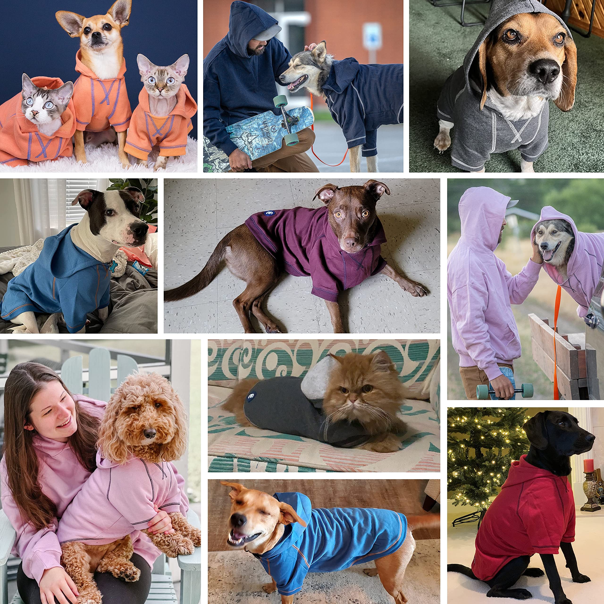 Blueberry Pet Essentials: cierre de contraste y pespunte para estilo moderno.