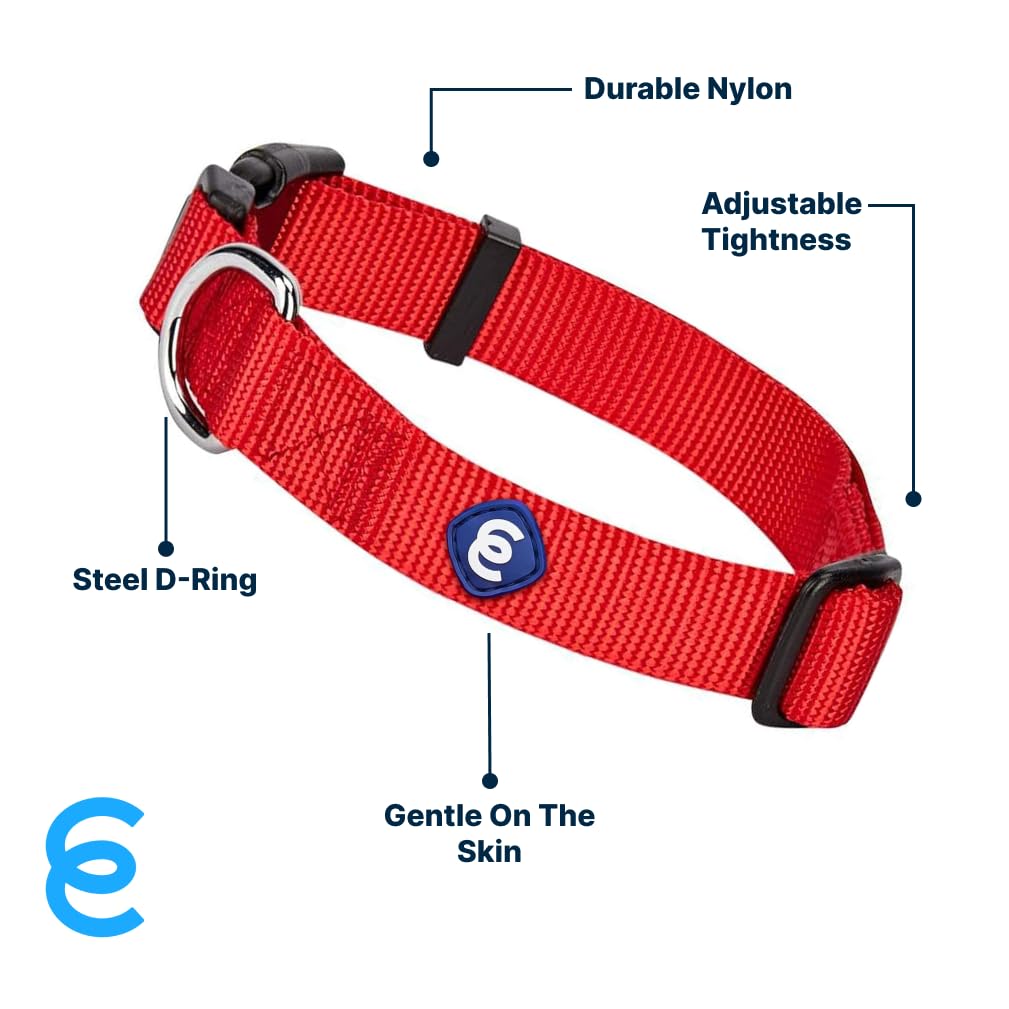Blueberry Pet Essentials collar con cierre rápido para mayor seguridad durante paseos.