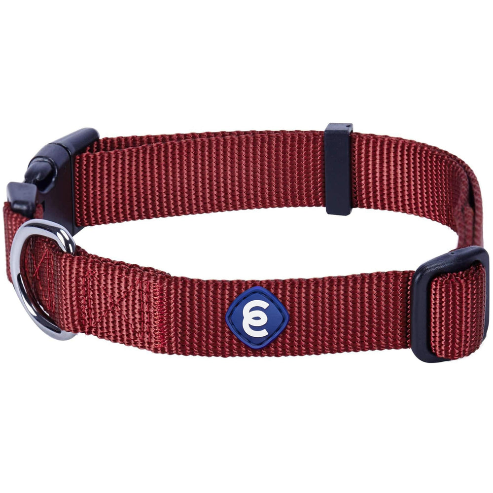 Blueberry Pet Essentials collar extra pequeño con cierre rápido, cómodo para paseos diarios.