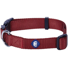 Blueberry Pet Essentials collar extra pequeño con cierre rápido, cómodo para paseos diarios.
