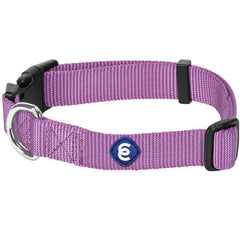 Blueberry Pet Essentials collar grande para perro violeta ajustable en acción durante un paseo