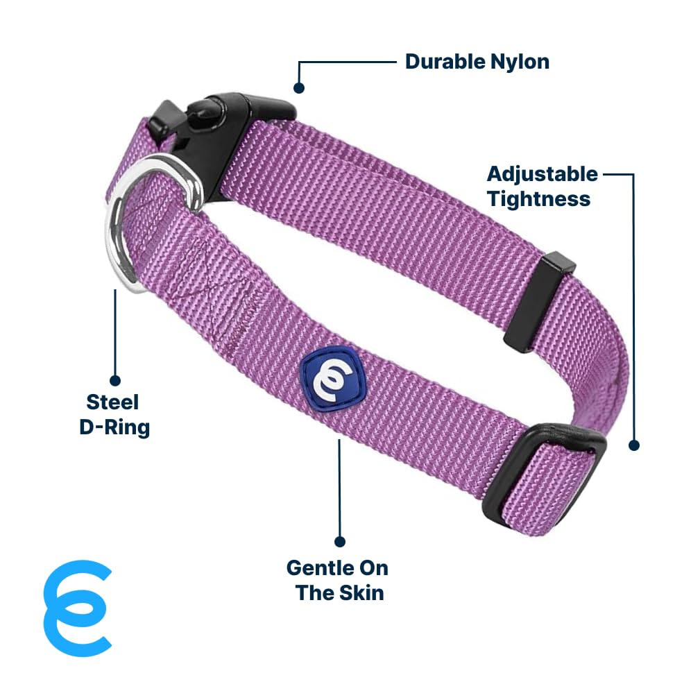 Collar Blueberry Pet Essentials para perro con hebilla plástica y color violeta