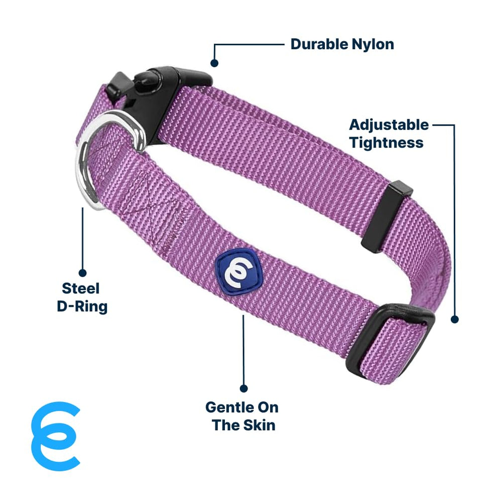 Collar Blueberry Pet Essentials para perro con hebilla plástica y color violeta