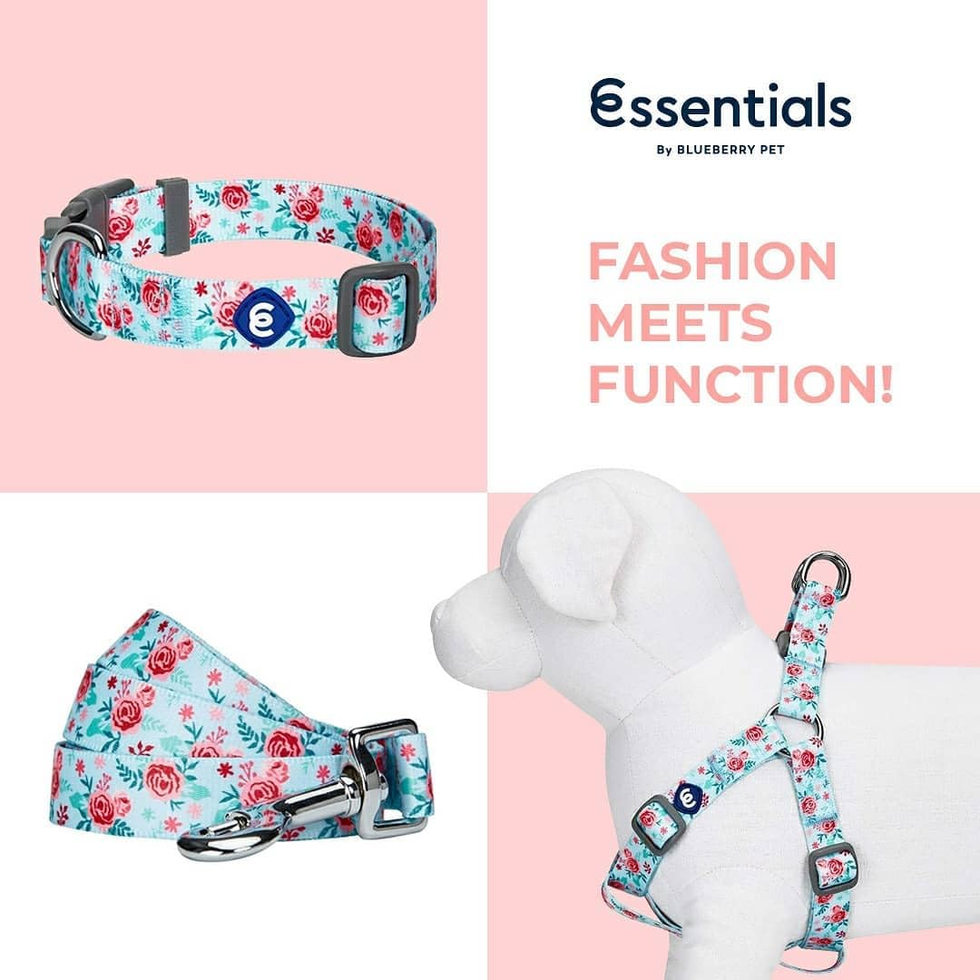 Blueberry Pet Essentials diseño floral azul pastel añade estilo durante el paseo.