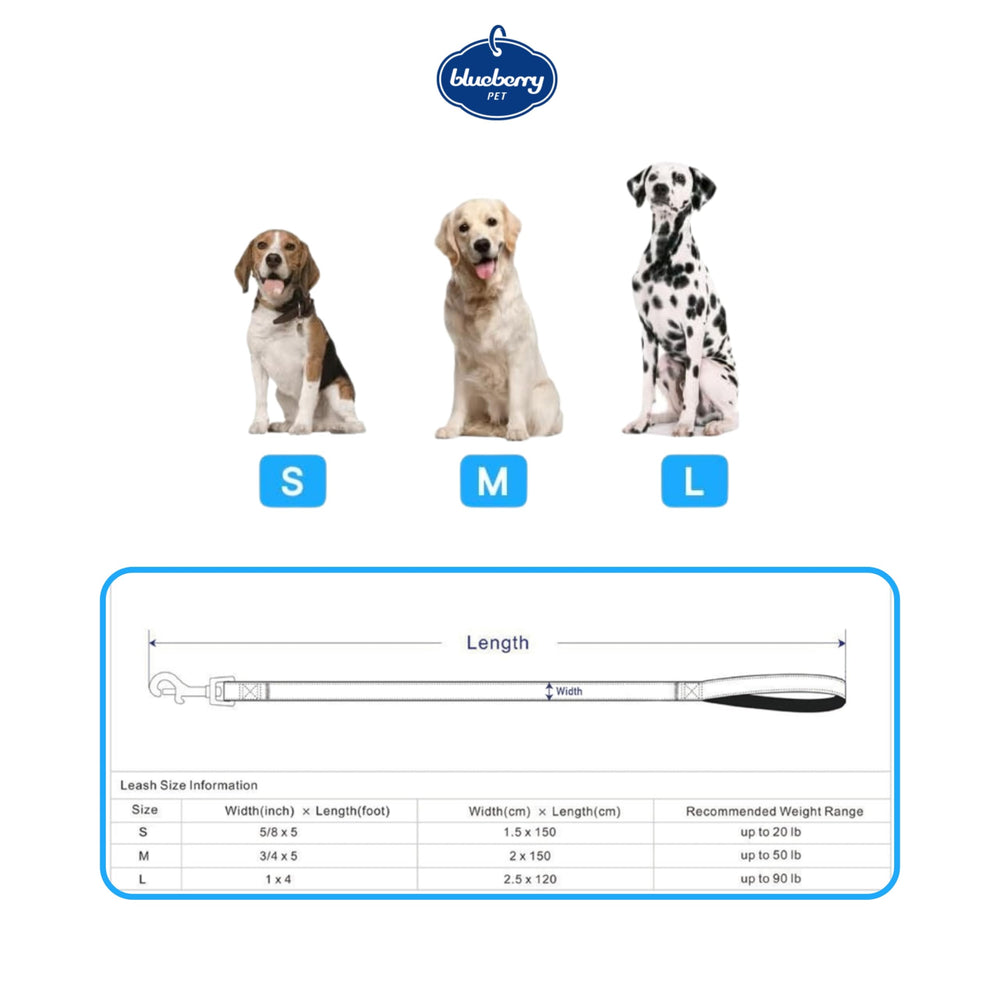 Blueberry Pet Essentials longitud de 5 pies para paseos cómodos y control.