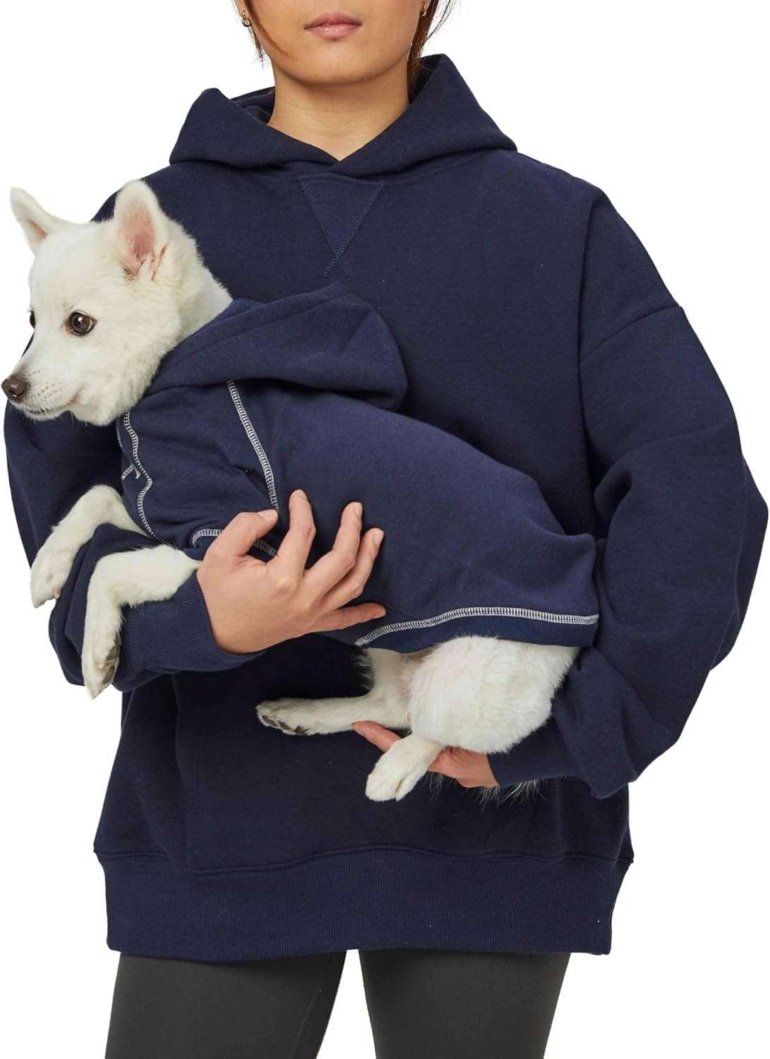Blueberry Pet Essentials: uso diario cómodo para perros activos y descansos.