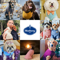 Blueberry Pet guía de talla espalda 16 para ajuste cómodo