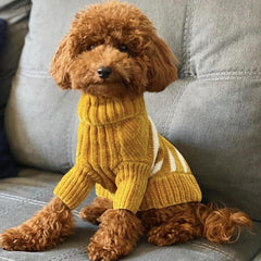 Blueberry Pet suéter chenille con cuello alto en color mostaza