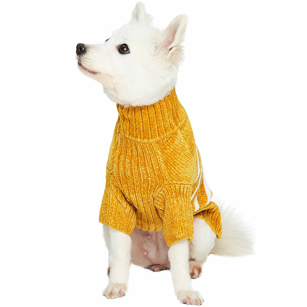 Blueberry Pet uso otoñal en color mostaza para paseos