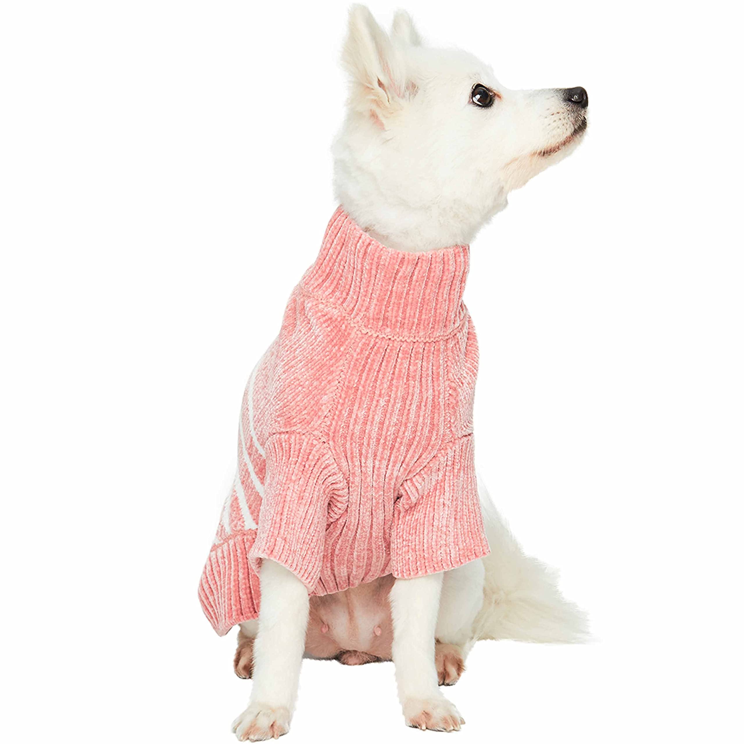 Blueberry Pet prenda ideal para fiestas y reuniones, aporta estilo sin complicaciones.